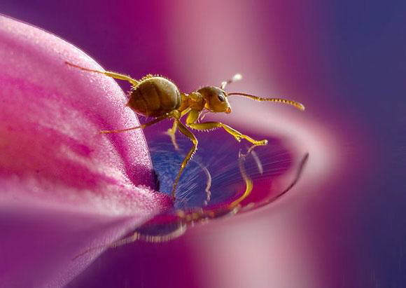 Photography of Natures beauty at its best