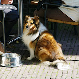 IMGP8033.JPG