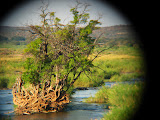 South Africa - 162.JPG