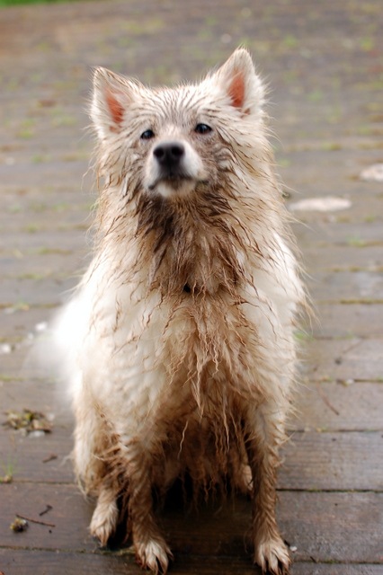 [DSC_5966%255B4%255D.jpg]