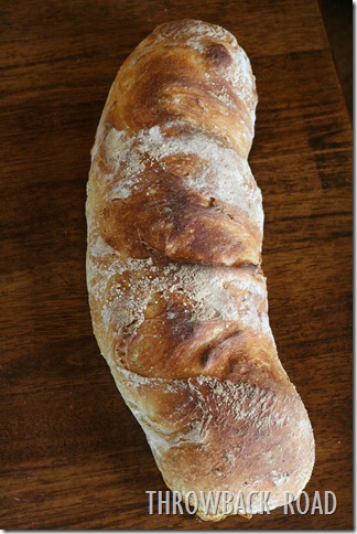 creole, bread 055 creole, bread 055