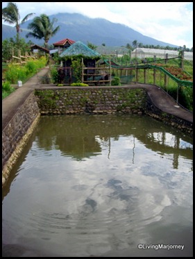 Costales Farm in Majayjay, Laguna (8)