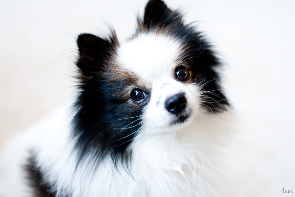 [20111230-IMG_9948%255B8%255D.jpg]