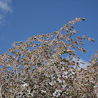 110514 PH 10K 2011 ~ 217.JPG