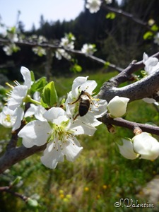 [P1140516%255B4%255D.jpg]