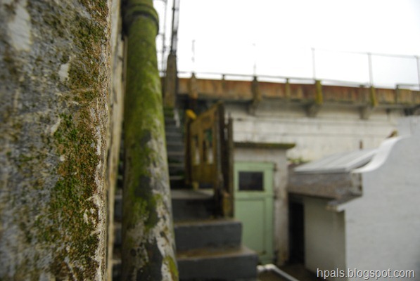DSC_1771 DSC_1771
