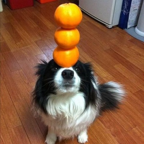 [viral-picdump-pics-9%255B2%255D.jpg]