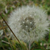 dsc06325.jpg