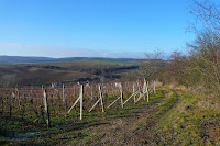P1090725.JPG