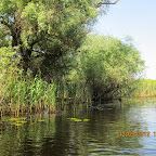 IMG_7617.JPG