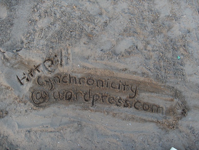 [cynchroURL%255B3%255D.jpg]