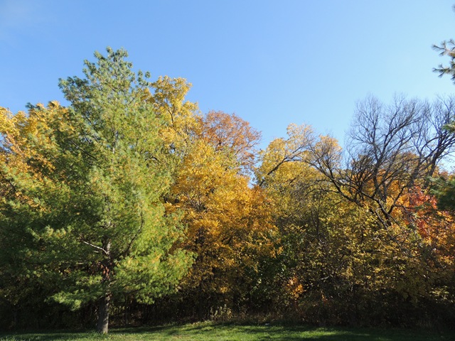 [DSCN0486%255B3%255D.jpg]