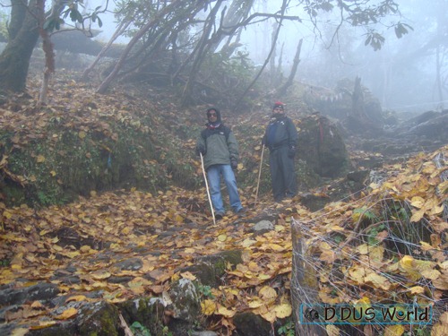 [Pathivarayatra953.jpg]