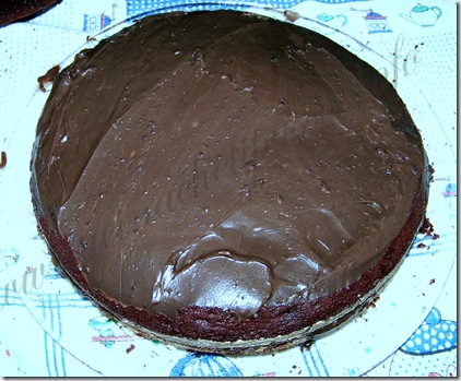 ganache al cioccolato ricetta (8)