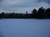 Playing in the Snow