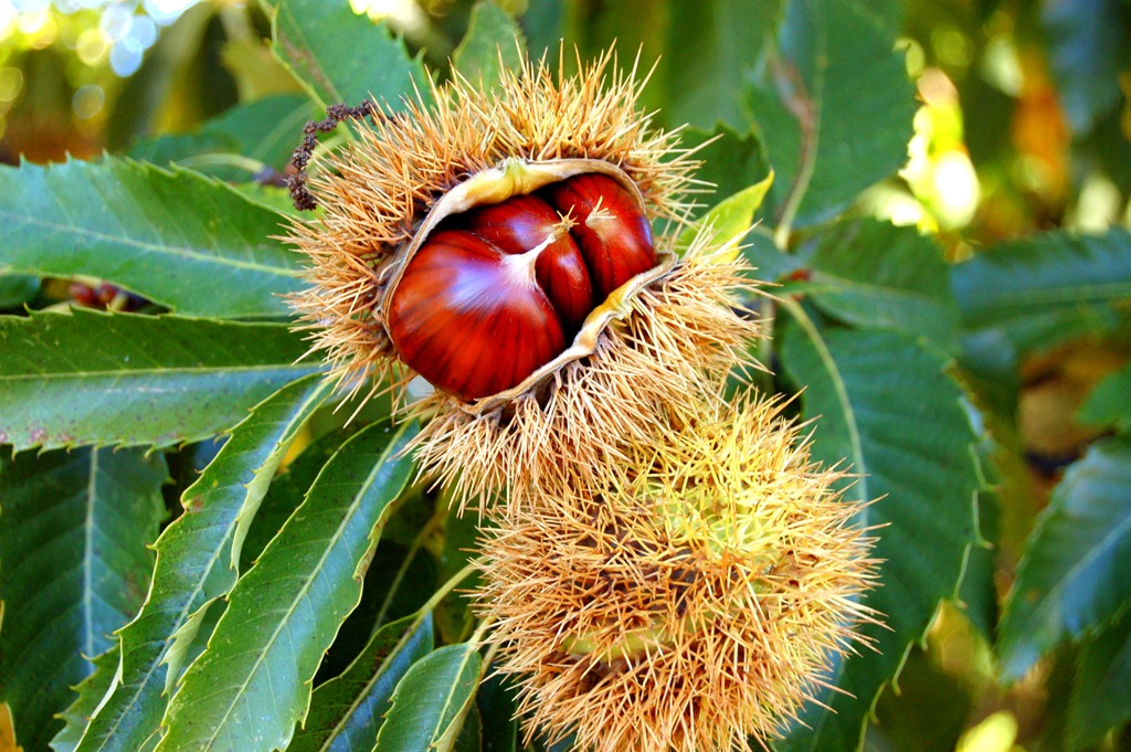 [DSC_0569%2520%25282%2529%255B5%255D.jpg]