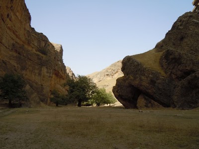 DSCN4054.jpg