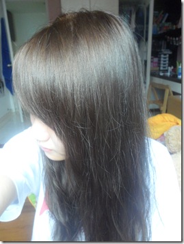 SAM_2503 SAM_2503