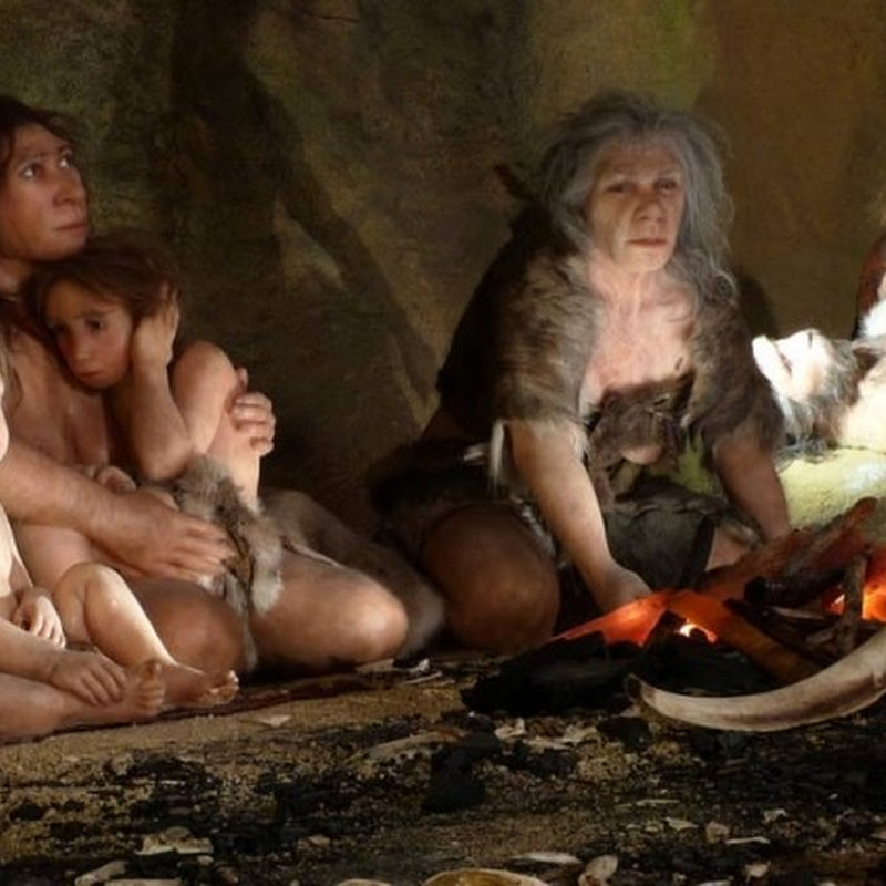 Resultado de imagem para homem de neandertal