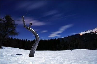 [blue48484903-%255B5%255D.jpg]
