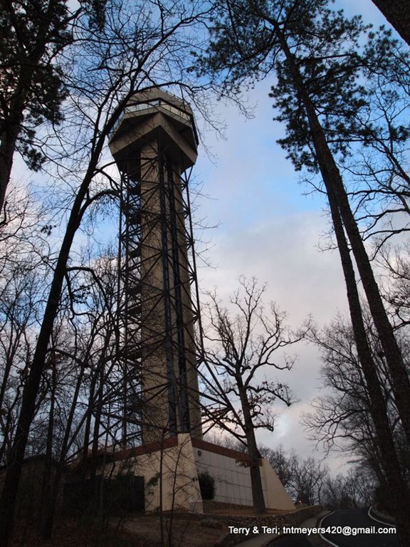 [P10623743.jpg]