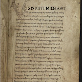 Codice Genesis siglo X