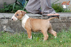 Karmacoma Suntoucher 7 weeks