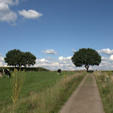 Galerie 2008