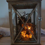 1556-1.jpg 1556-1.jpg