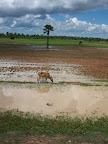 Cambodge