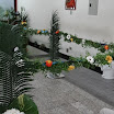 Image00013.jpg