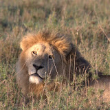 Tanzania