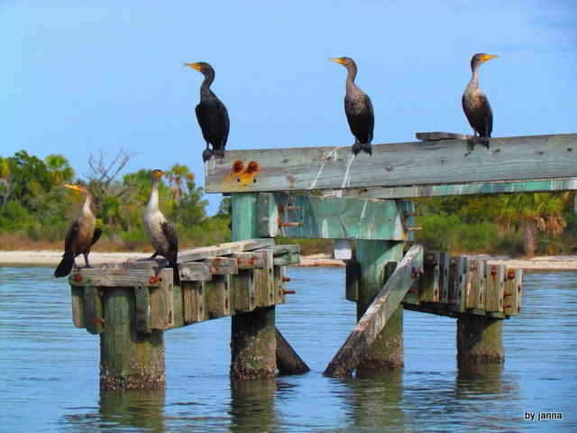 [IMG_1940%255B4%255D.jpg]