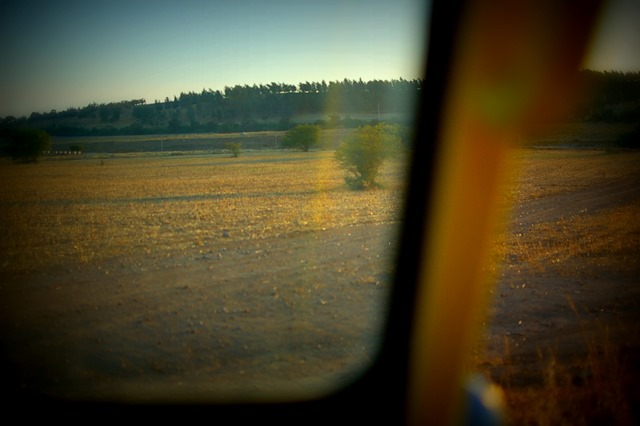 [DSC_03213.jpg]