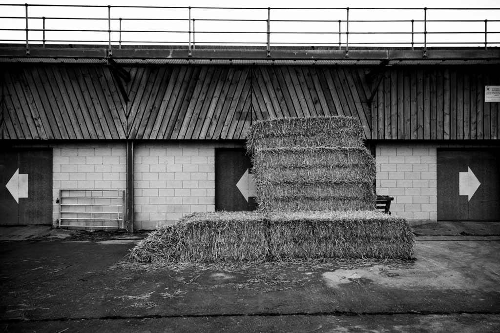 [Newark-Livestock-Market%255B4%255D.jpg]