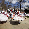 IMG_7584.jpg