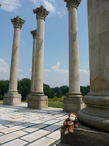 CM and columns