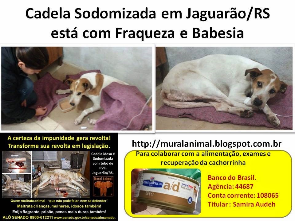 [Cadela%2520Sodomizada%2520em%2520Jaguar%25C3%25A3o%255B3%255D.jpg]