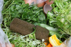 Oh boy!  It looks like some very healthy nibbles, including hydroponically-grown greens and their organic growing plugs.  I also see citrus peels - great vitamin C!