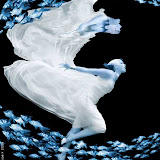 Underwater - Howard Schatz