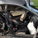 News_110204_AutoVsTree_ECommerceAtNPark