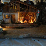 1588-1.jpg