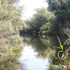 DSCN4453.JPG