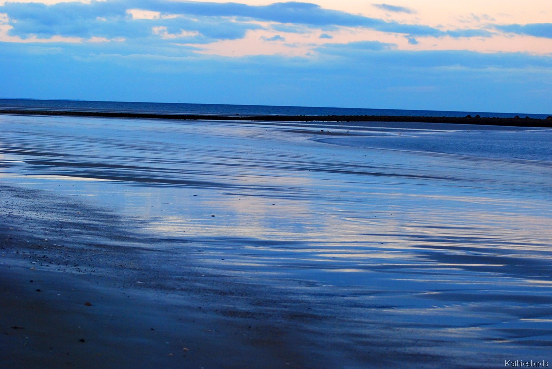[28.%2520indigo%2520beach-kab%255B4%255D.jpg]