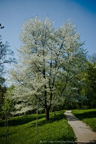 [Spring2011_0092-WM%255B2%255D.jpg]