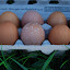2012 jan & feb 086.jpg