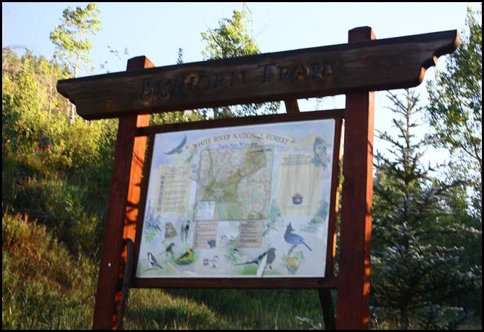 Bighorn Creek Trail 7-23-12 (32)