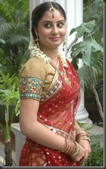Bhanu Sri Mehra Saree Stills