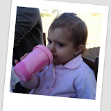 DSC00244.JPG