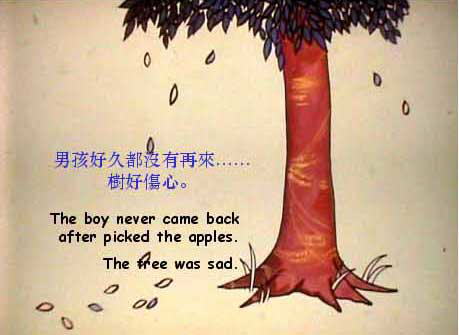 The Boy & The Apple Tree